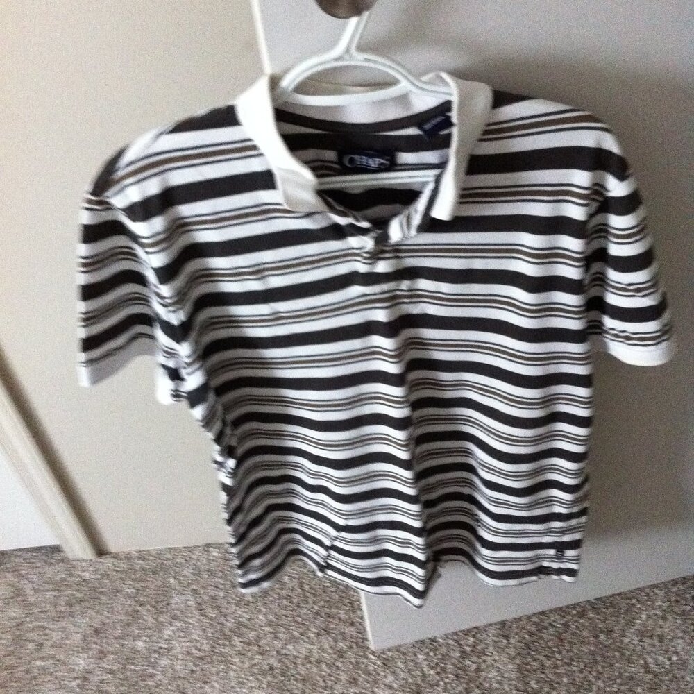 Striped shirt from chaps.